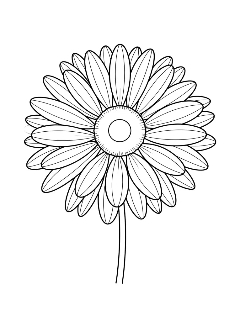 Delicate Daisy outline template to trace with AR Drawing