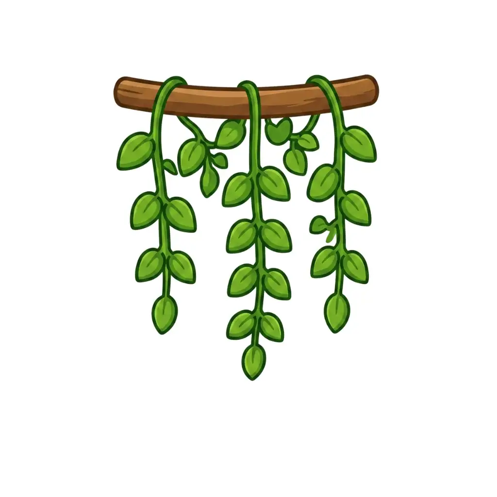 Hanging Vine color drawing template to trace with AR Drawing
