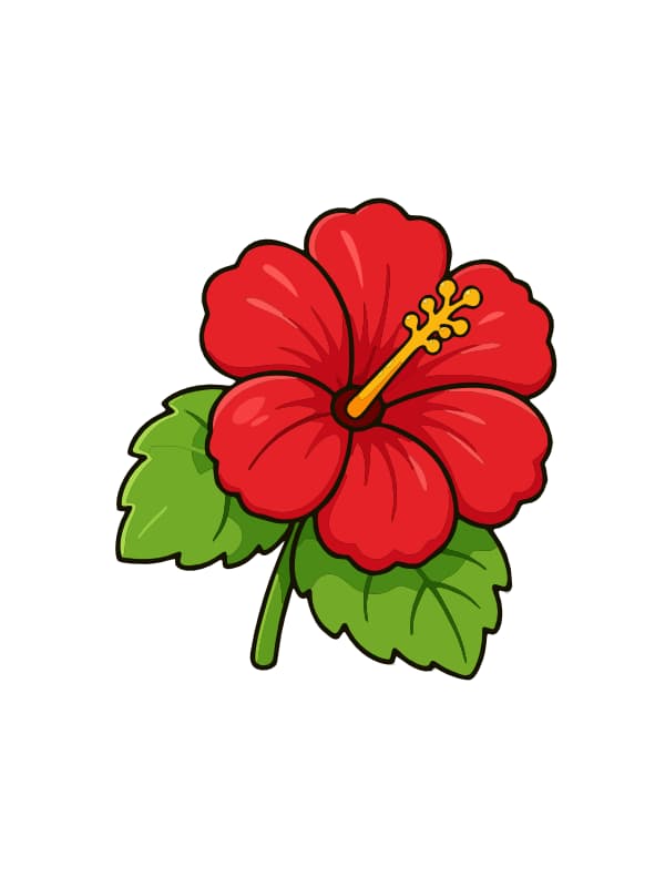 How to Draw a Hibiscus Flower drawing template