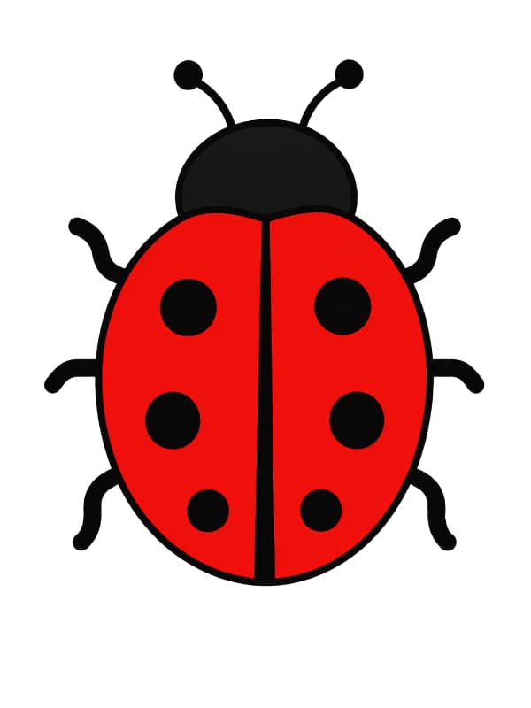How to Draw a Ladybug drawing template