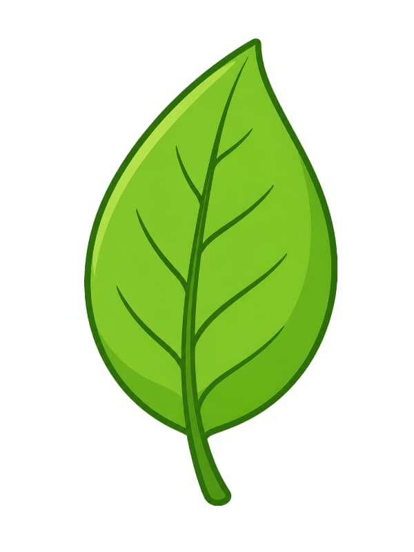 How to Draw a Leaf outline template to trace with AR Drawing