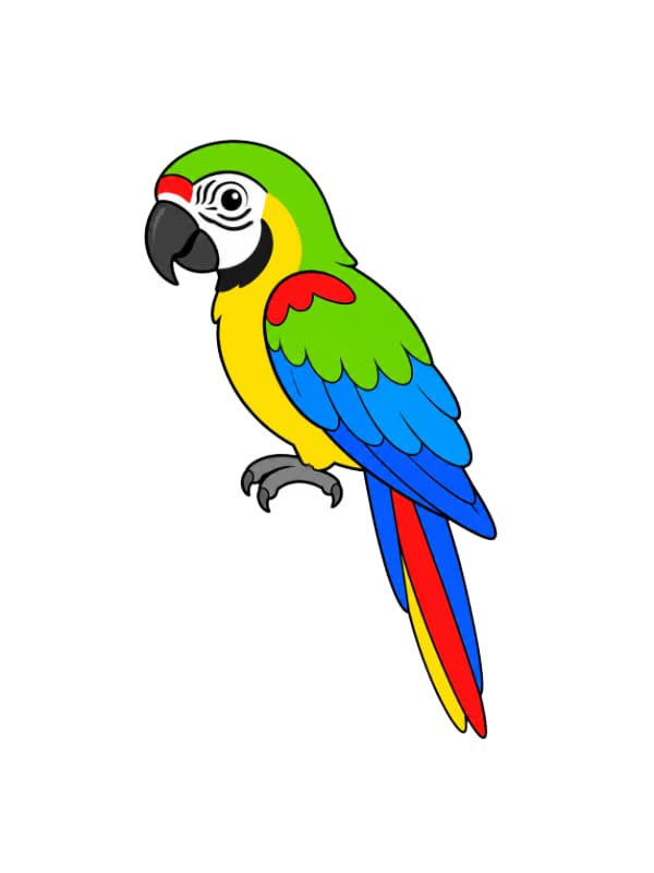 How to Draw a Cute Parrot drawing template