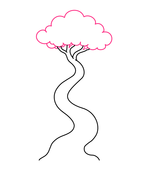 Step 4: Draw the First Canopy