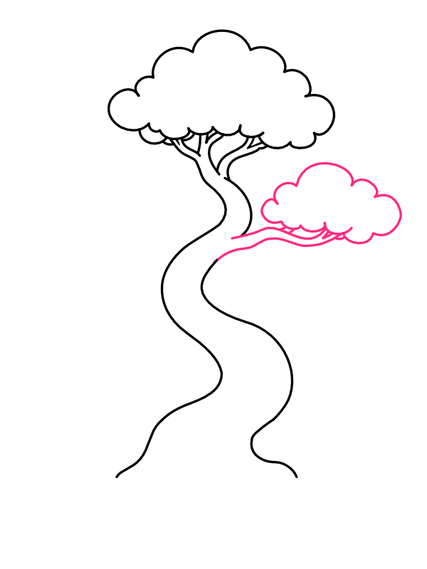 Step 5: Draw the Second Canopy