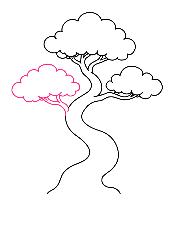 Step 6: Draw the Third Canopy