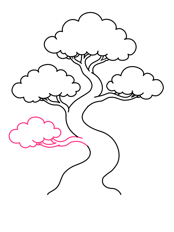 Step 7: Draw the Fourth Canopy