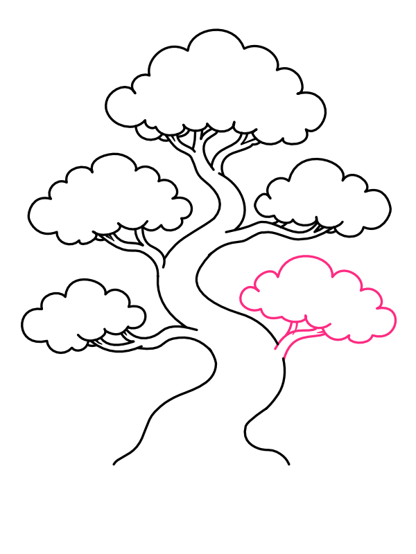 Step 8: Draw the Fifth Canopy