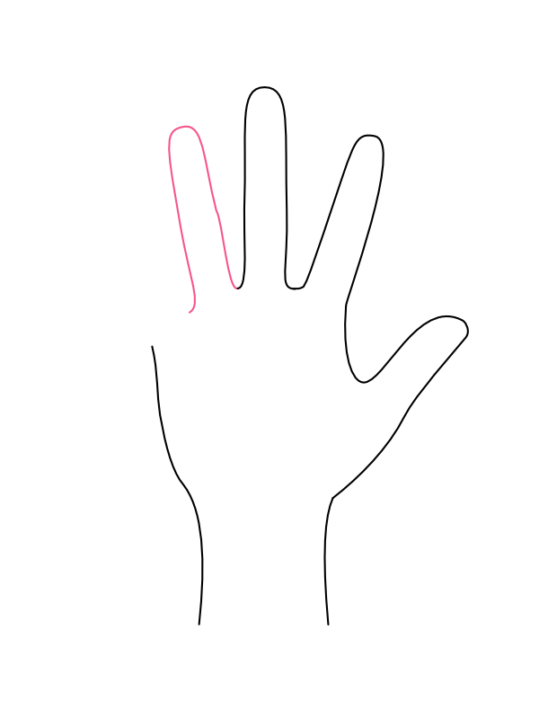 Step 5: Add the Ring Finger