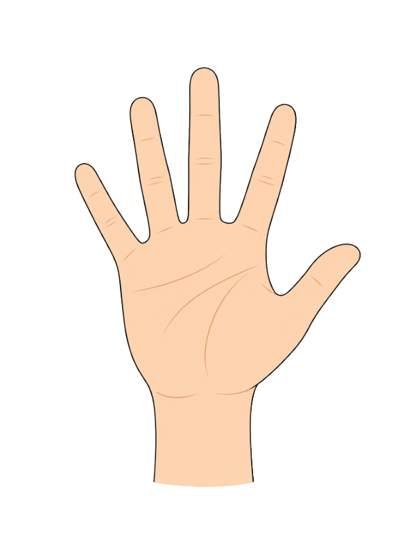 Step 8: Color Your Hand