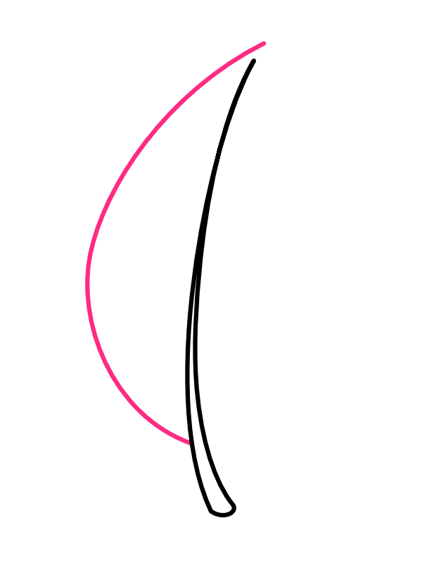 Step 2: Draw One Side of the Leaf