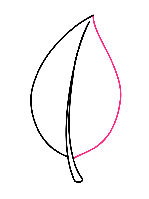 Step 3: Draw the Other Side of the Leaf