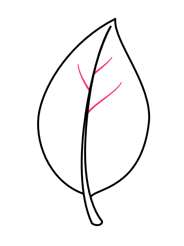 Step 4: Add the First Set of Veins