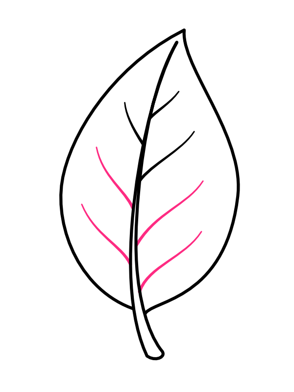 Step 5: Add the Remaining Veins