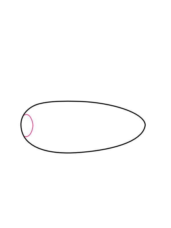 Step 2: Add the Front Porthole